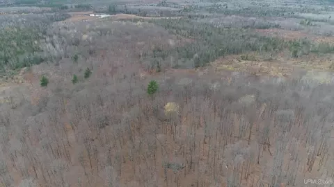66 9 Acres Greenwood Mine Rd, Ishpeming, MI 49849 photo 26