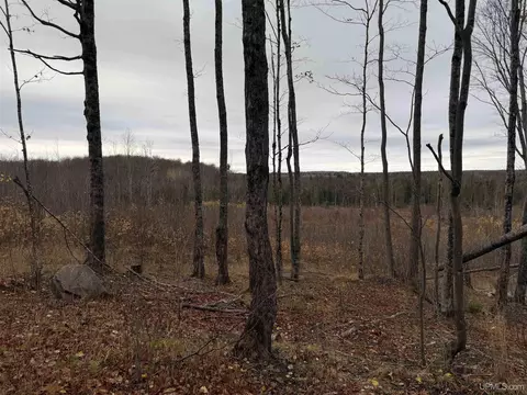 66 9 Acres Greenwood Mine Rd, Ishpeming, MI 49849 photo 13
