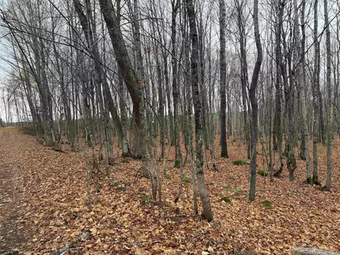 66 9 Acres Greenwood Mine Rd, Ishpeming, MI 49849 photo 9