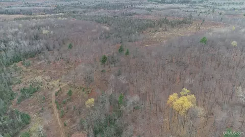 66 9 Acres Greenwood Mine Rd, Ishpeming, MI 49849 photo 28