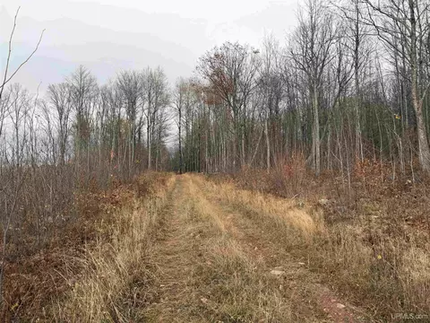 66 9 Acres Greenwood Mine Rd, Ishpeming, MI 49849 photo 16