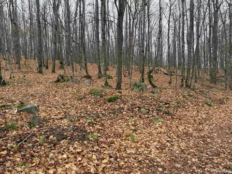 66 9 Acres Greenwood Mine Rd, Ishpeming, MI 49849 photo 10