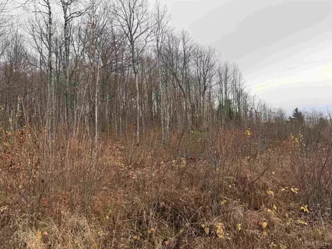 66 9 Acres Greenwood Mine Rd, Ishpeming, MI 49849 photo 15
