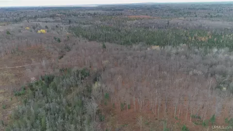 66 9 Acres Greenwood Mine Rd, Ishpeming, MI 49849 photo 35