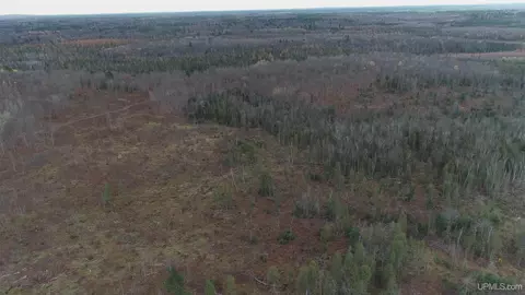 66 9 Acres Greenwood Mine Rd, Ishpeming, MI 49849 photo 37