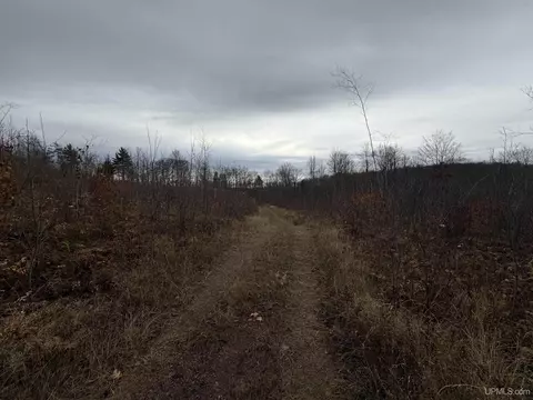 66 9 Acres Greenwood Mine Rd, Ishpeming, MI 49849 photo 17