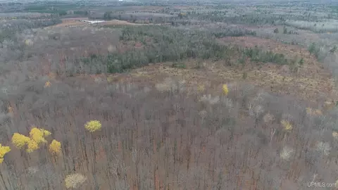 66 9 Acres Greenwood Mine Rd, Ishpeming, MI 49849 photo 5