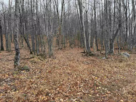 66 9 Acres Greenwood Mine Rd, Ishpeming, MI 49849 photo 12
