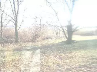 559 Erie, Temperance, MI 48182 photo 6