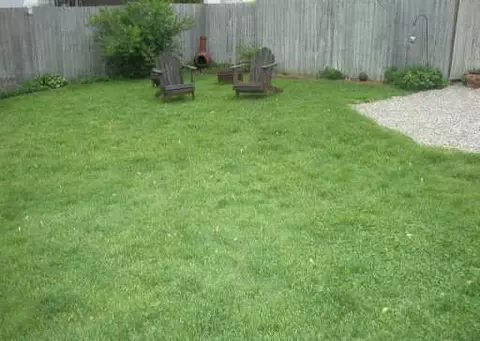 8067 Fourth, Dexter, MI 48130 photo 8
