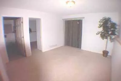 490 Rose, Ann Arbor, MI 48103 photo 8