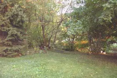 490 Rose, Ann Arbor, MI 48103 photo 2
