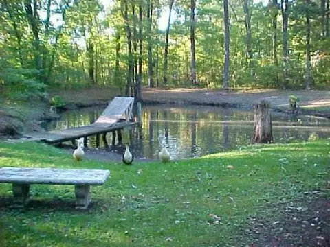 1635 Hacker, Howell, MI 48843 photo 6