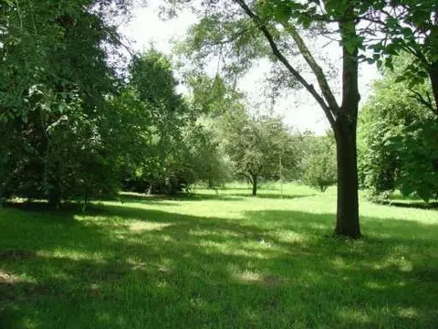 6134 Wolf Lake Rd, Napoleon, MI 49261 photo 5