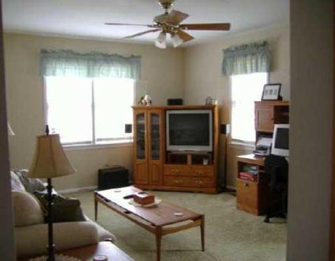 310 S Adrian, Tecumseh, MI 49286 photo 3