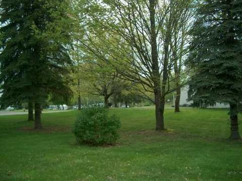 226 S First, Munith, MI 49259 photo 2