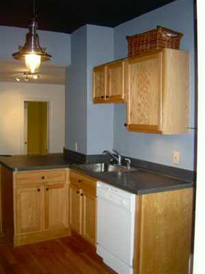 113 E Smt, Ann Arbor, MI 48104 photo 2