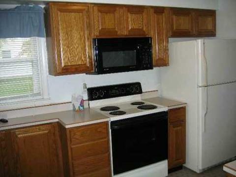 503 Orchard, Tecumseh, MI 49286 photo 2
