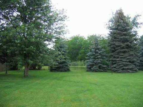 503 Orchard, Tecumseh, MI 49286 photo 1