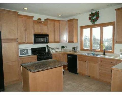 7423 Scully, Dexter, MI 48130 photo 4