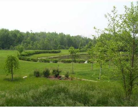 8303 Blue Jay, Update, MI 48197 photo 3