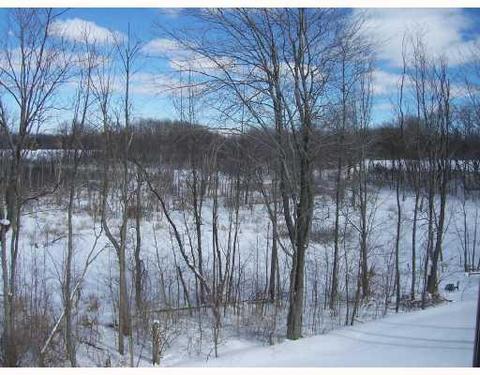 4455 Willow Vw, Howell, MI 48843 photo 3