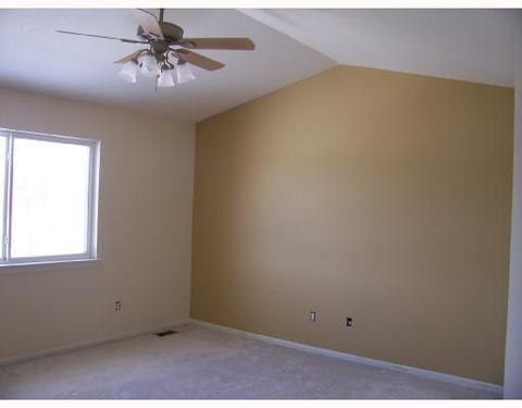 4455 Willow Vw, Howell, MI 48843 photo 4