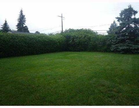 39646 Bart, Canton, MI 48187 photo 8