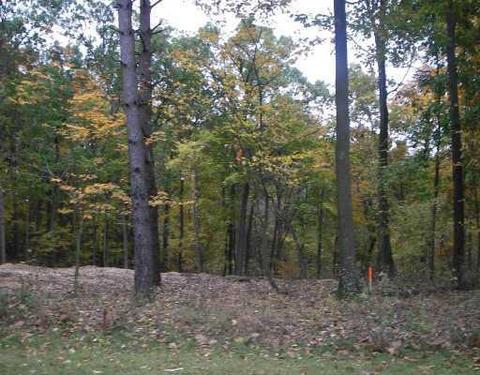 7016 Sanctuary, Jackson, MI 49201 photo 1
