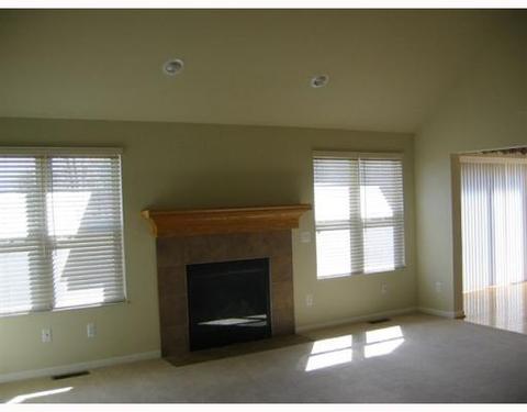 11377 Castleton, Dexter, MI 48130 photo 6