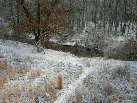 2724 Bent Tree, Dexter, MI 48130 photo 6