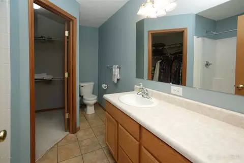 111 Elk, Marshall, MI 49068 photo 9