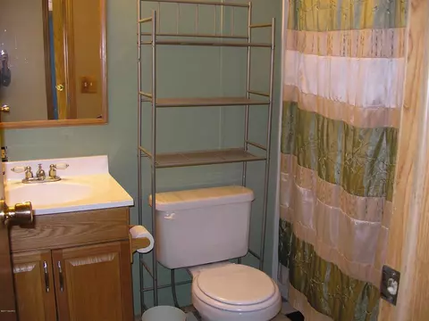 65191 Youngs Pr, Constantine, MI 49042 photo 31