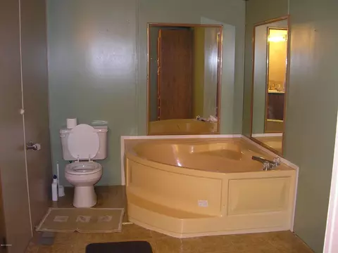 65191 Youngs Pr, Constantine, MI 49042 photo 22