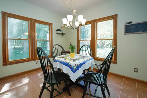 17161 Limberlost, Three Rivers, MI 49093 photo 13