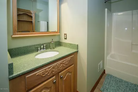 17161 Limberlost, Three Rivers, MI 49093 photo 18