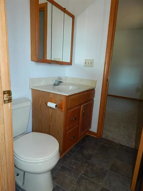 399 Third, Sunfield, MI 48890 photo 24