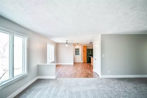 1100 S Sheridan, Stanton, MI 48888 photo 11
