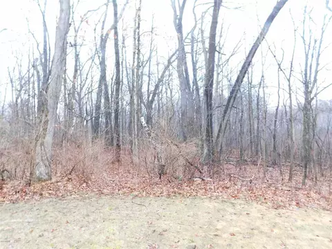 4340 E 106th, Grant, MI 49327 photo 22
