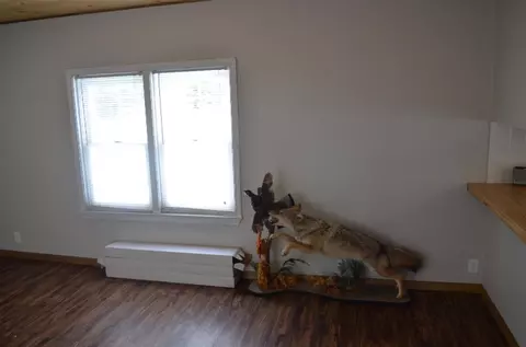 2613 S Evergreen, White Cloud, MI 49349 photo 14