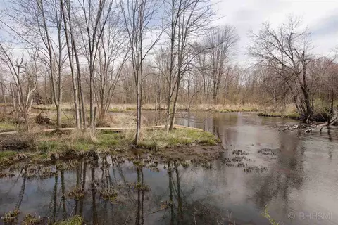15718 Null, Three Rivers, MI 49093 photo 41