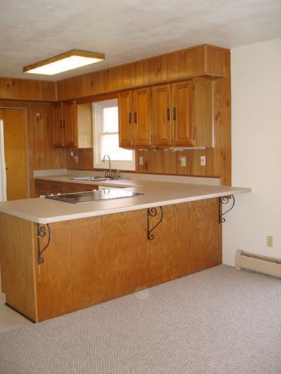 217 Highfield, Marshall, MI 49068 photo 5
