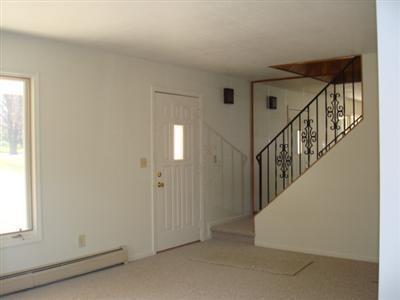 217 Highfield, Marshall, MI 49068 photo 14