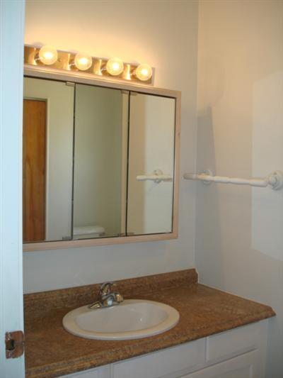 217 Highfield, Marshall, MI 49068 photo 13