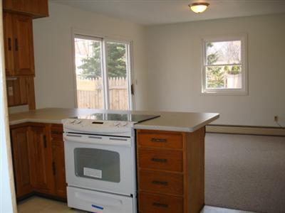 217 Highfield, Marshall, MI 49068 photo 8