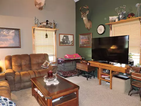 50431 Buchner, Mendon, MI 49072 photo 9