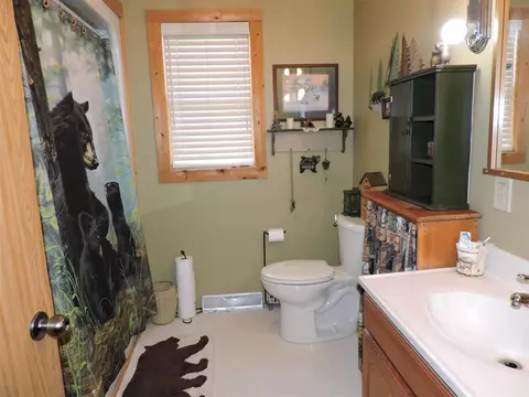 50431 Buchner, Mendon, MI 49072 photo 19
