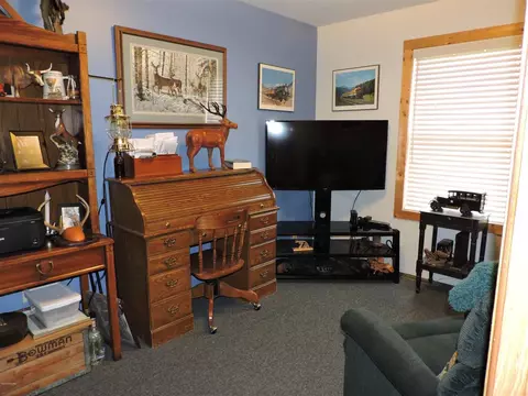 50431 Buchner, Mendon, MI 49072 photo 20
