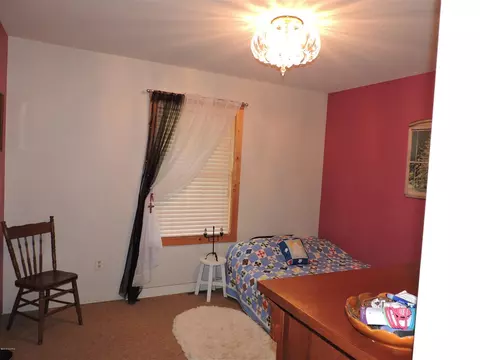 50431 Buchner, Mendon, MI 49072 photo 18