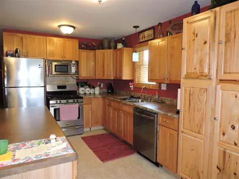 50431 Buchner, Mendon, MI 49072 photo 8